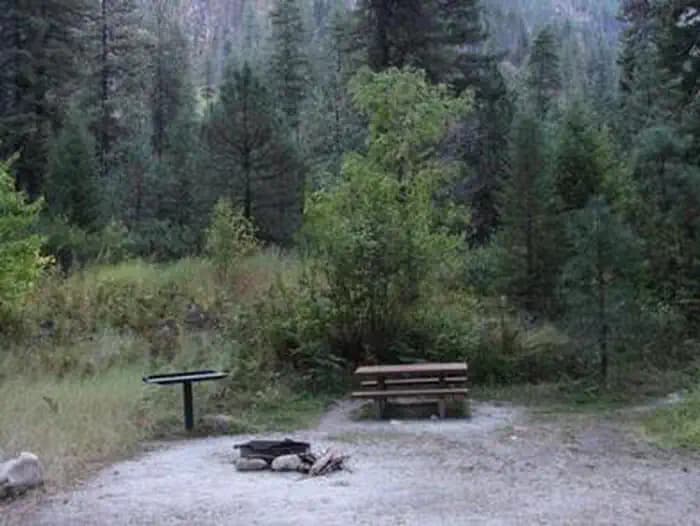 RATTLESNAKE