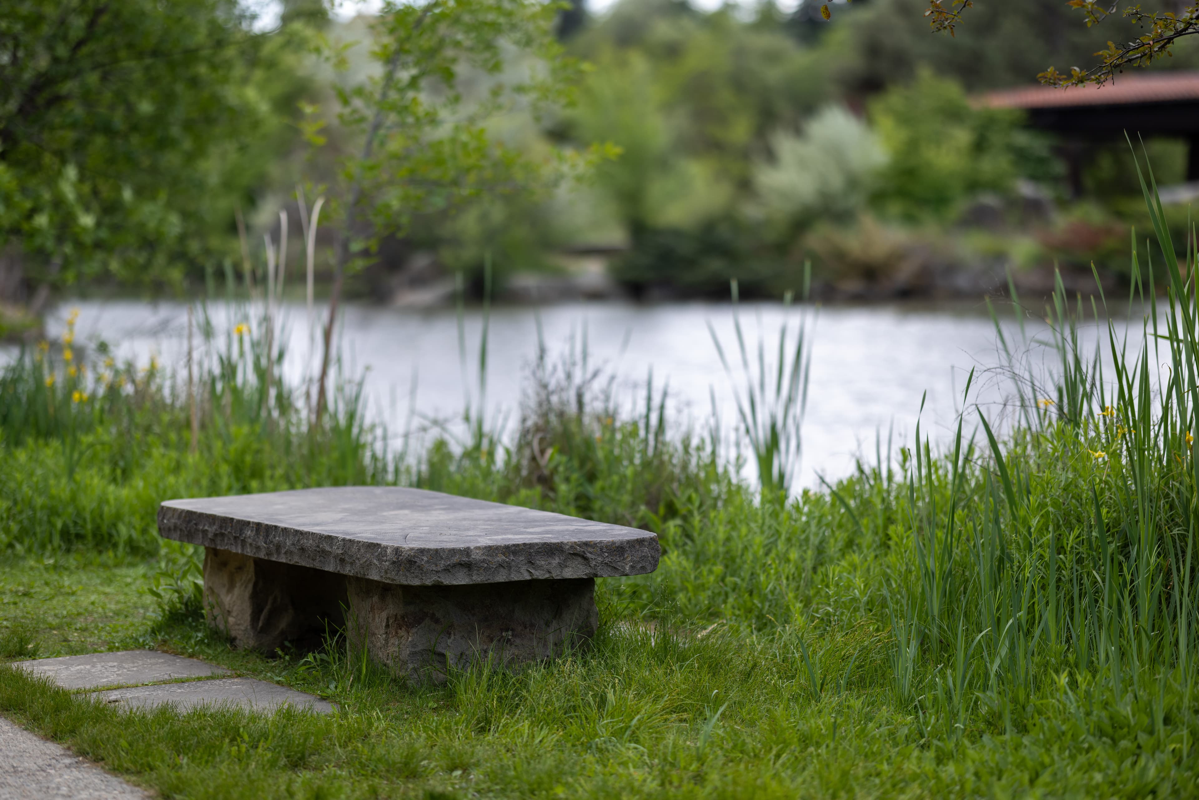 Kathryn Albertson Park