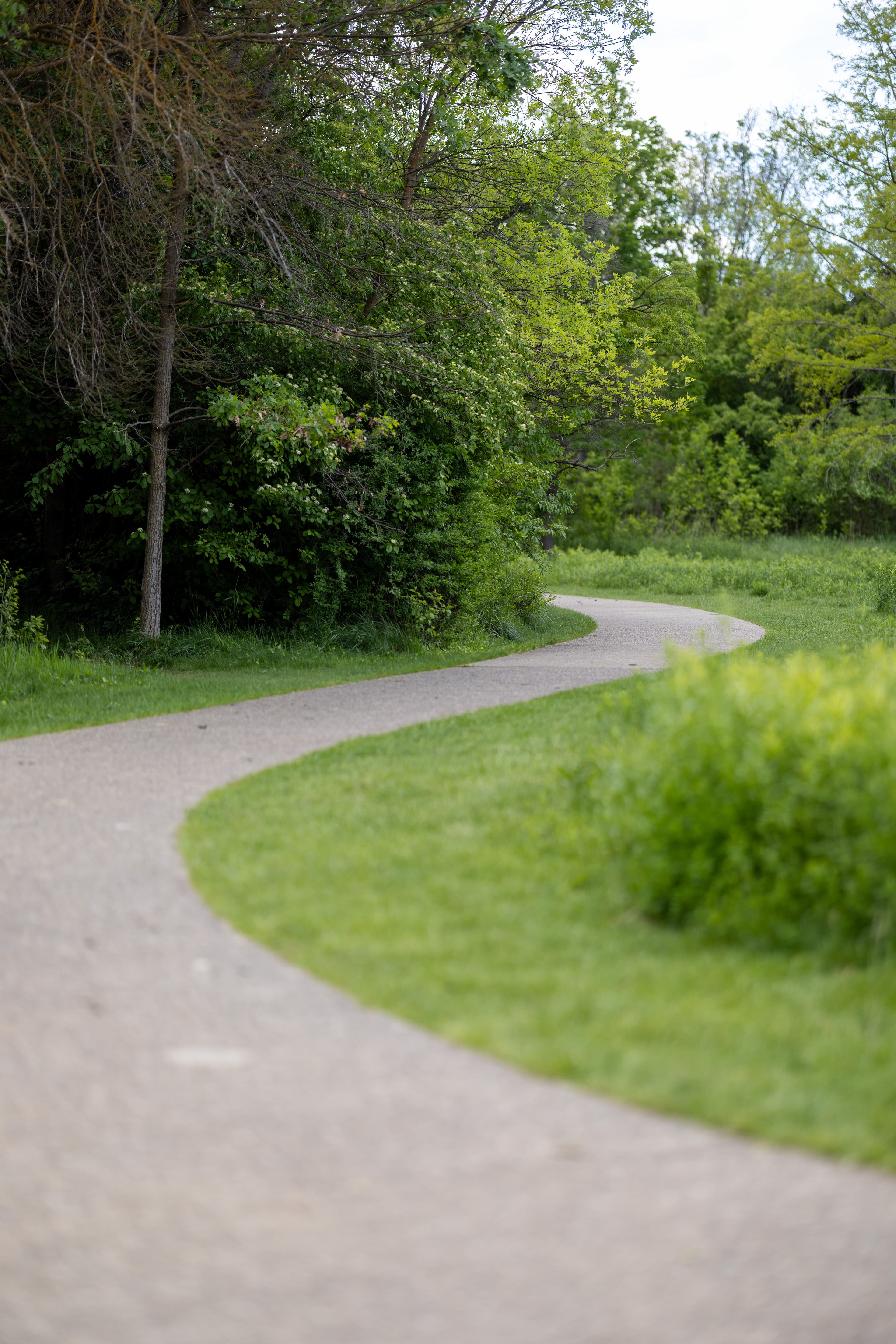Kathryn Albertson Park