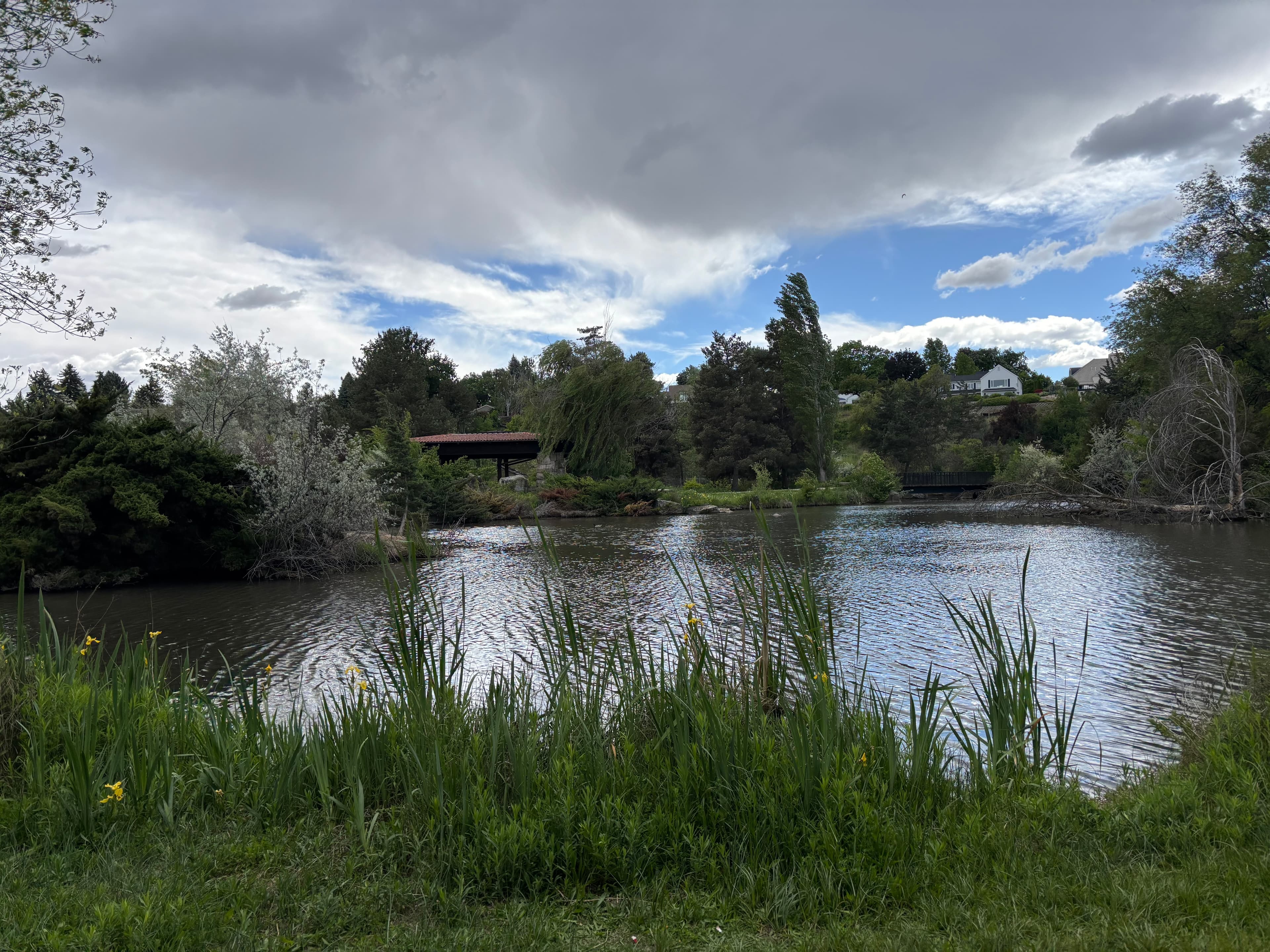 Kathryn Albertson Park