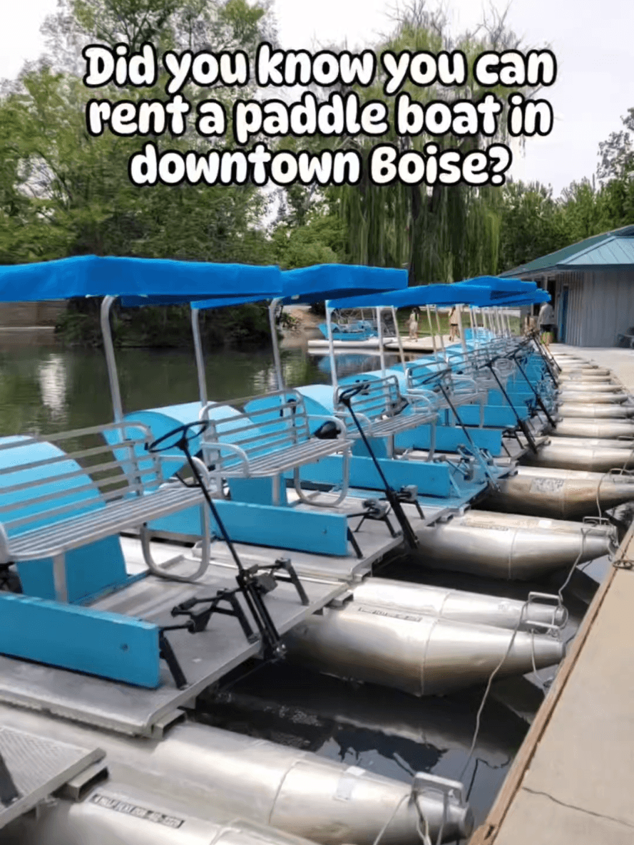 Julia Davis Paddle Boats Are Back, Now Run by the Discovery Center of Idaho