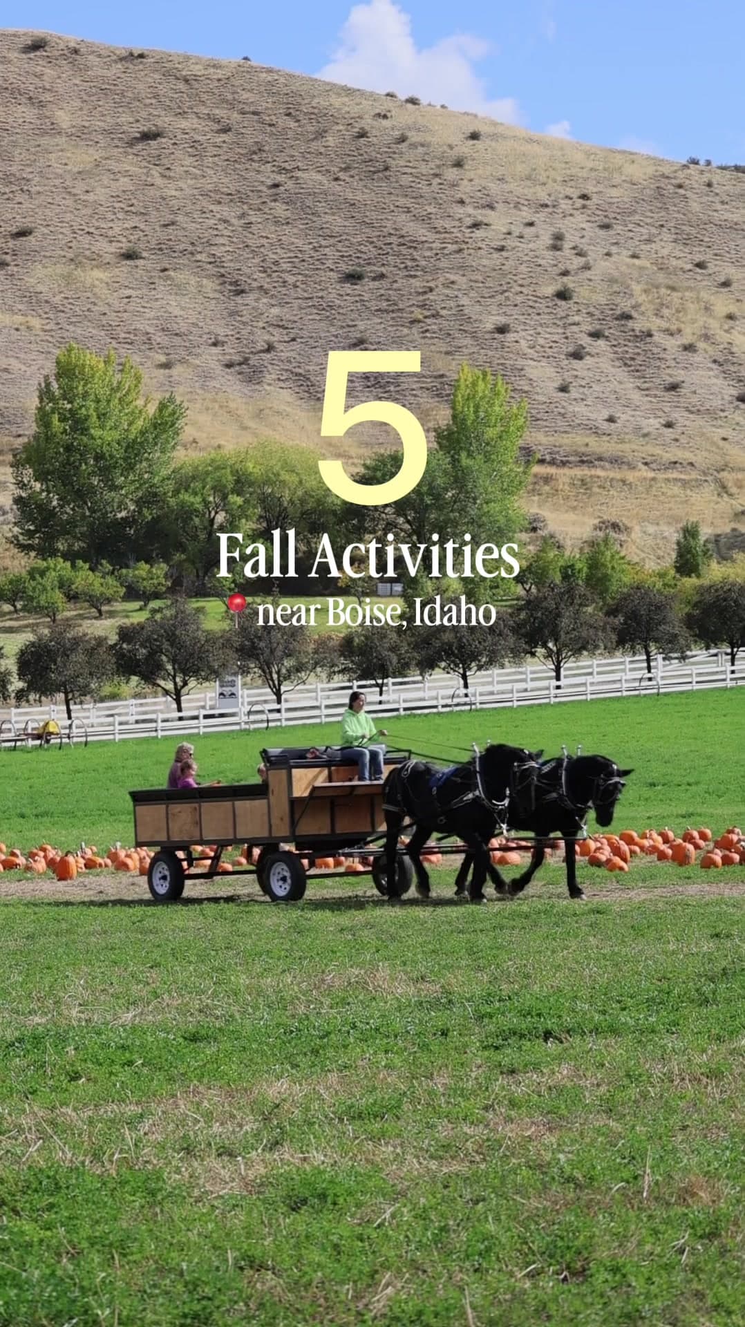 Five Treasure Valley Fall Stops, Priced Out and Mapped Before They’re Gone