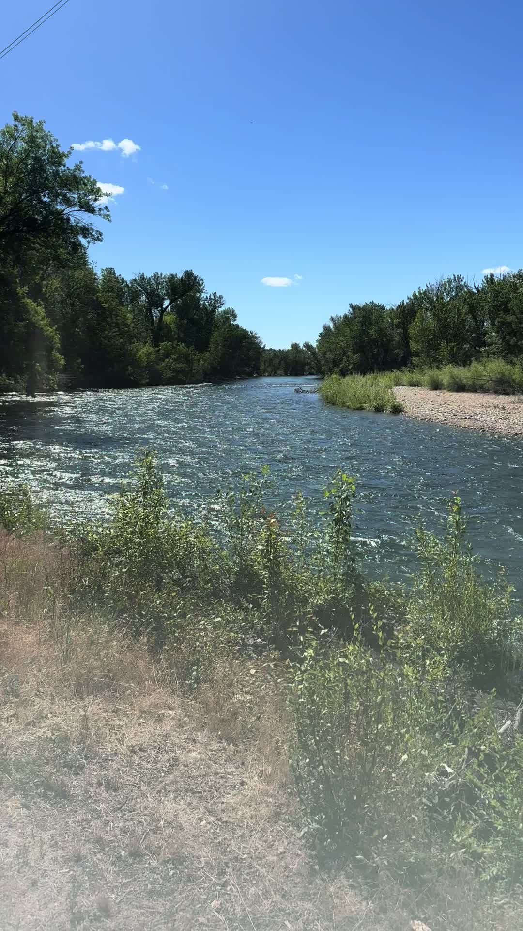 The Boise River Is Running Big Right Now—Time to Walk the Greenbelt